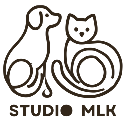 Studio MLK